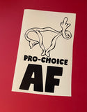 SUPPORT ROE V. WADE & WOMEN'S RIGHTS - VINYL DECALS